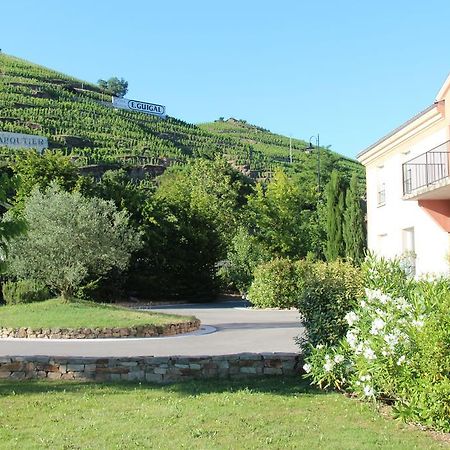 Hotel Le Domaine Des Vignes Ampuis Lyon Sud Vienne Экстерьер фото