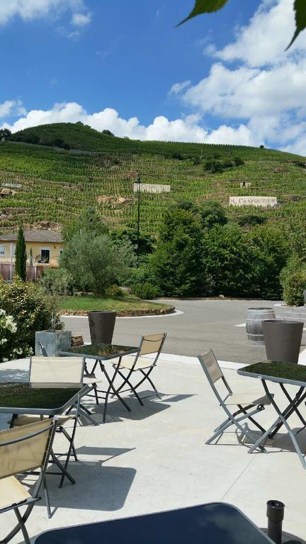 Hotel Le Domaine Des Vignes Ampuis Lyon Sud Vienne Экстерьер фото