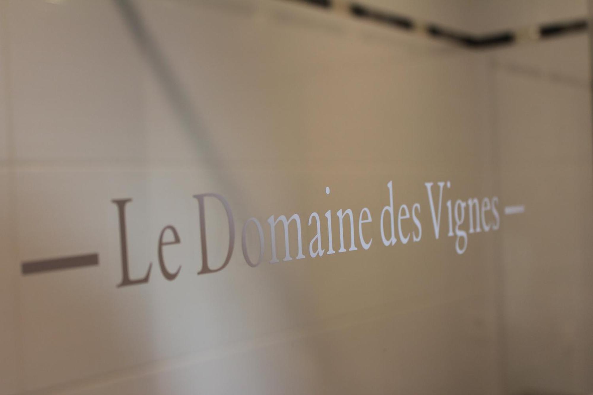 Hotel Le Domaine Des Vignes Ampuis Lyon Sud Vienne Экстерьер фото